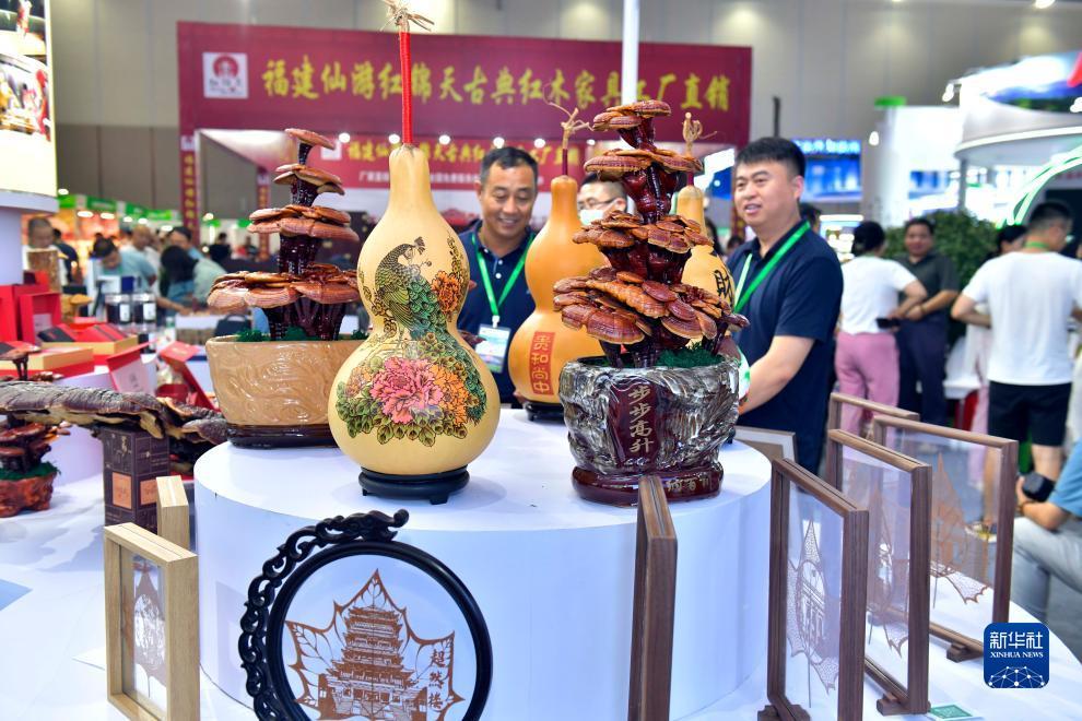 881389欢迎您的到来